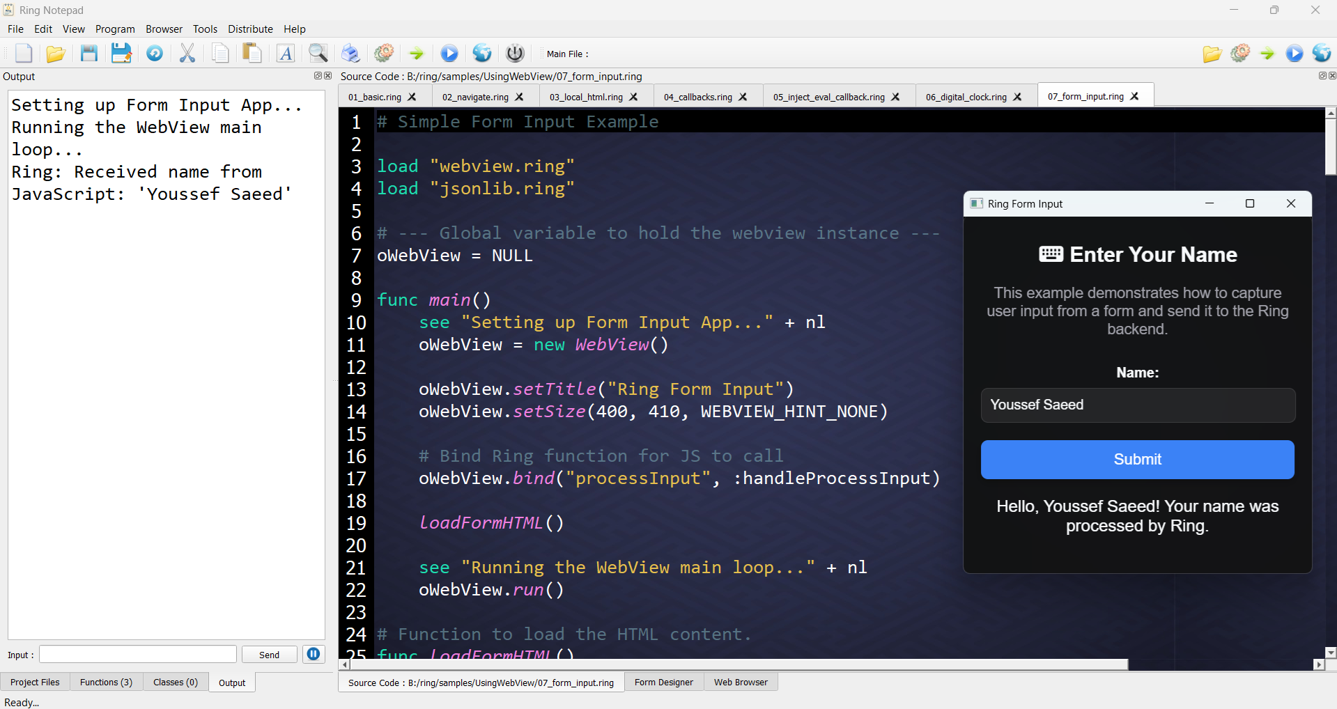 WebView Sample 1